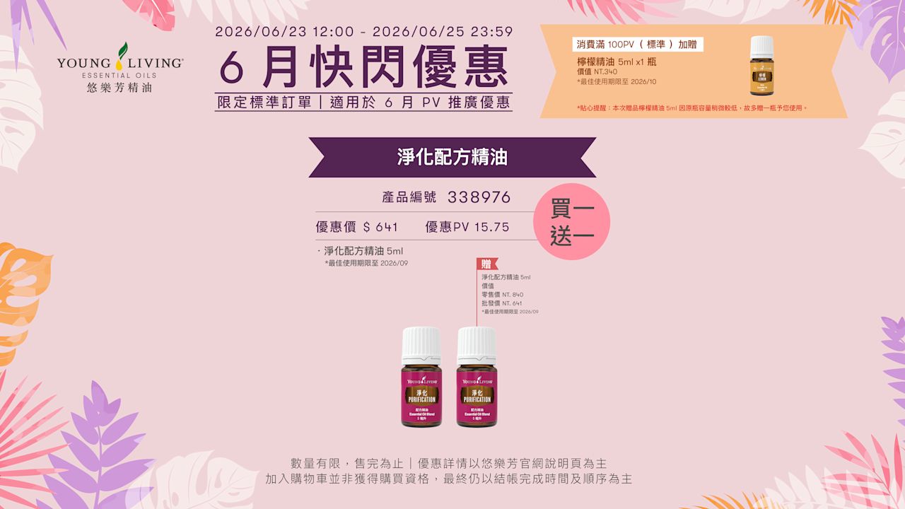 限時優惠 D 檔活動主視覺（請替換為實際活動說明）