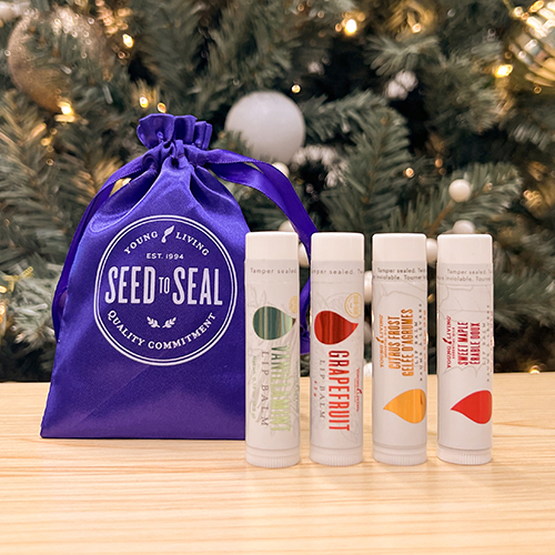 Festive Lip Balm Bundle