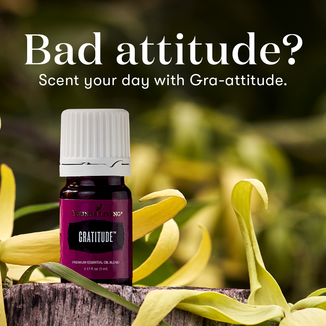 Gratitude™ Essential Oil Blend | Young Living Essential Oils
