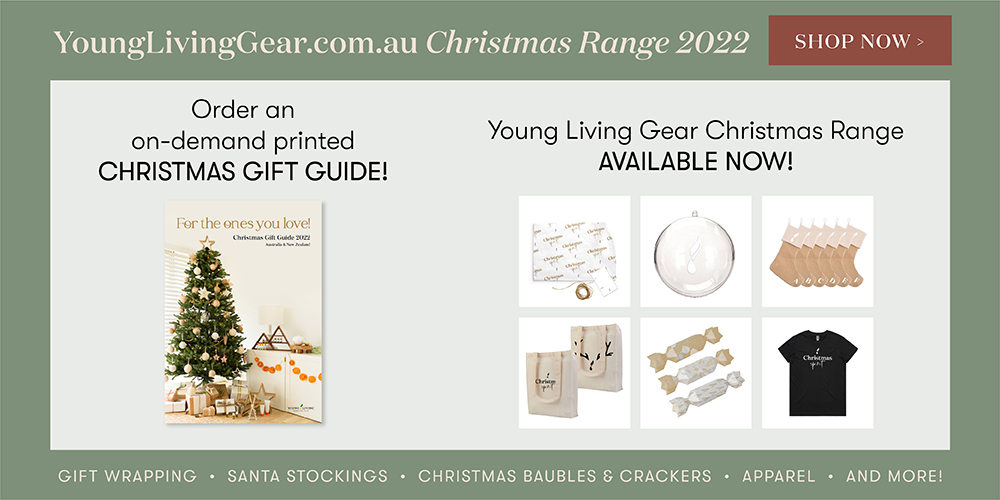YL Gear Christmas catalogue