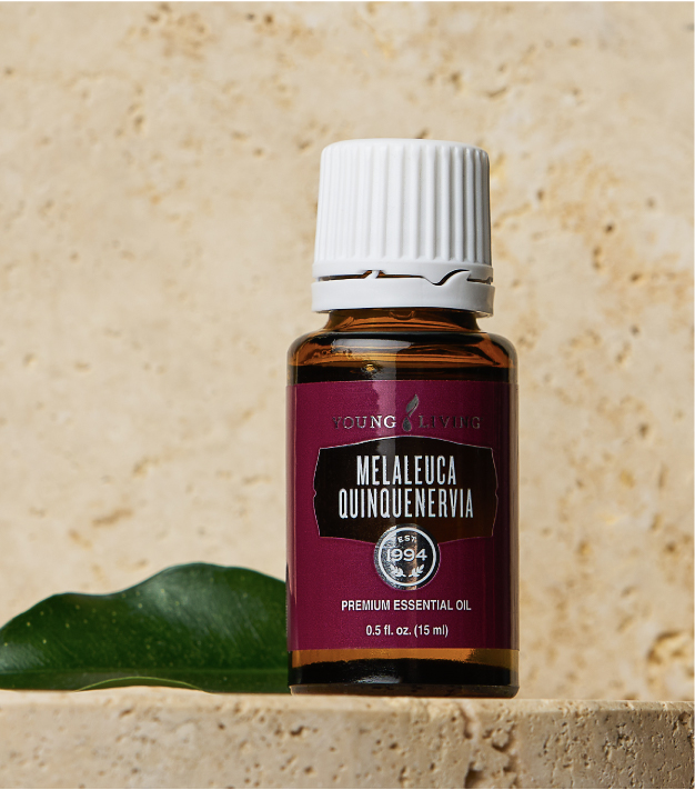 Melaleuca Quinquenervia essential oil, 15 ml, part of the August 2026 Gift With Purchase from Young Living Essential Oils