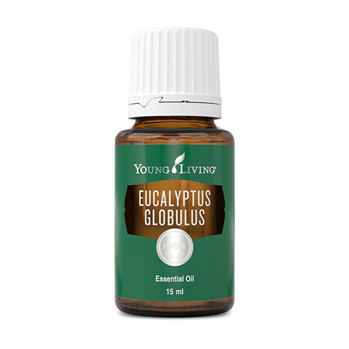Eucalyptus Globulus Essential Oil 15 ml