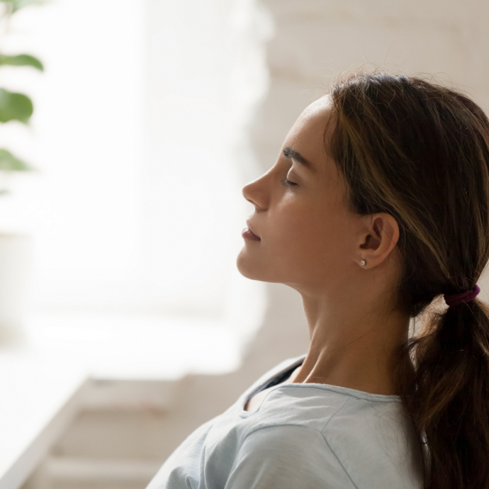 ブレインパワーの使用方法