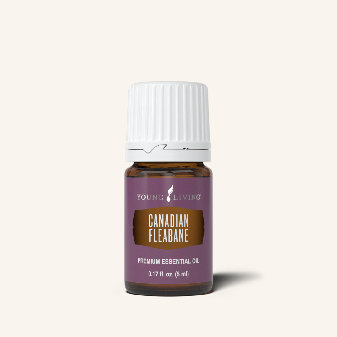 CanadianFleabane_5ml_US_Websit