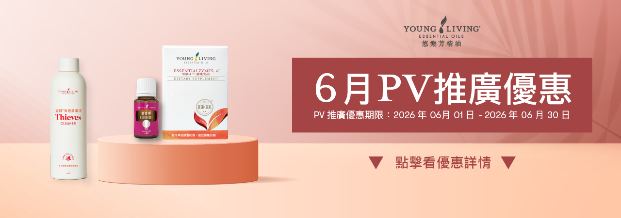06月PV推廣優惠：2026/06/01–2026/06/30