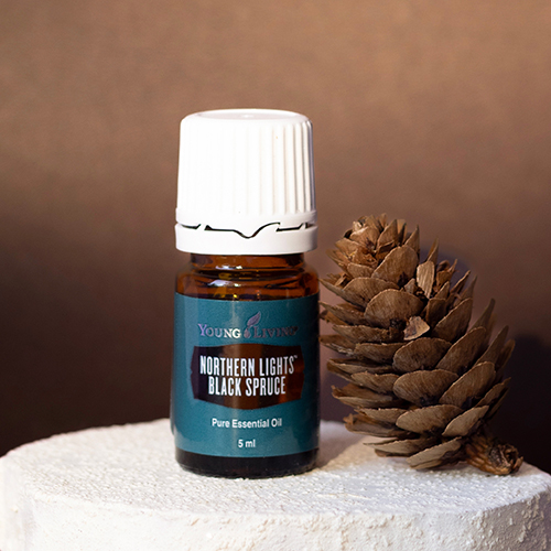 Northern Lights Black Spruce Essential Oil 5 ml