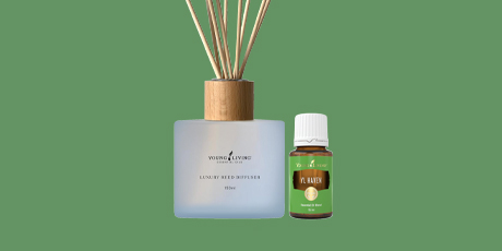 Holiday Gift Guide 2023 | Young Living Africa | Young Living