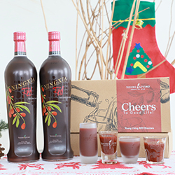 Raise Your NingXia Red® (2 bottles)