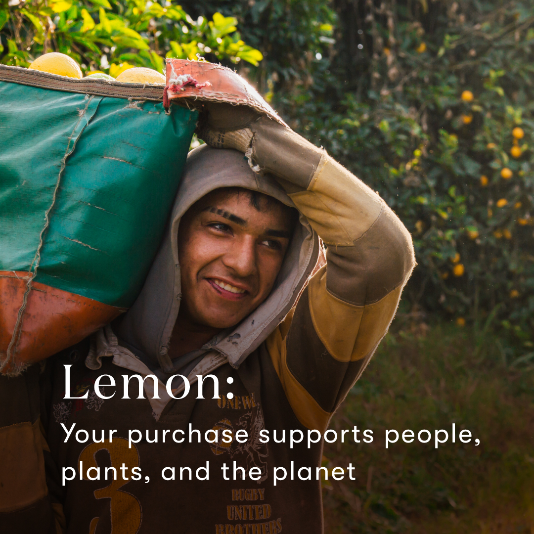 Lemon Essential Oil | Young Living Essential Oils