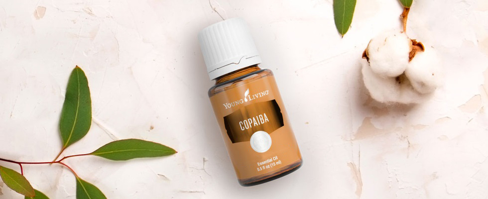 Eine Flasche ätherisches Copaiba-Öl