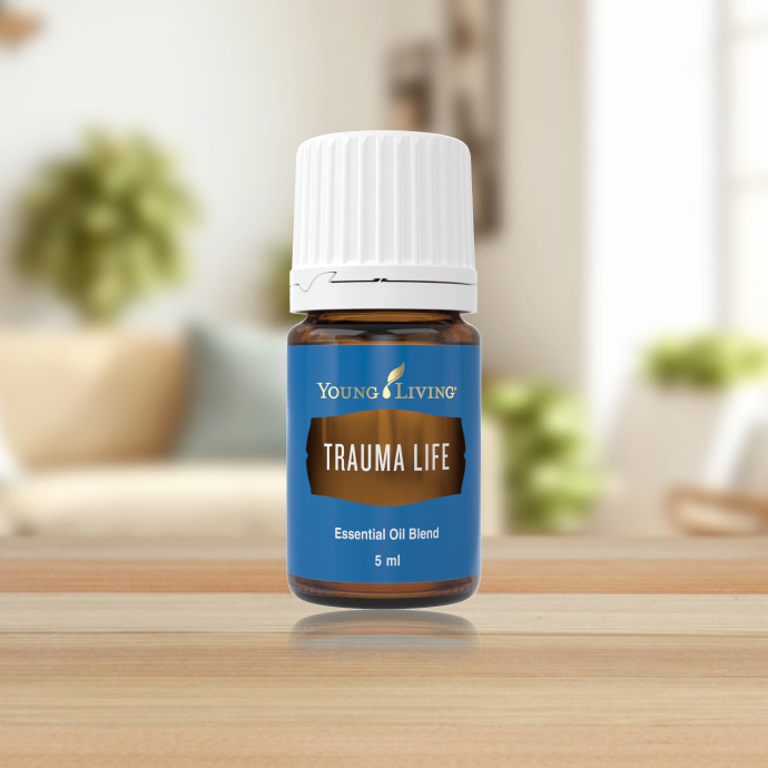 トラウマライフ