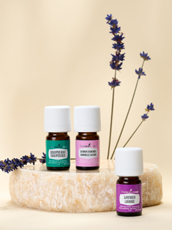 Huile Essentielle dEsprit de Noël 5ml Young Living -  Canada