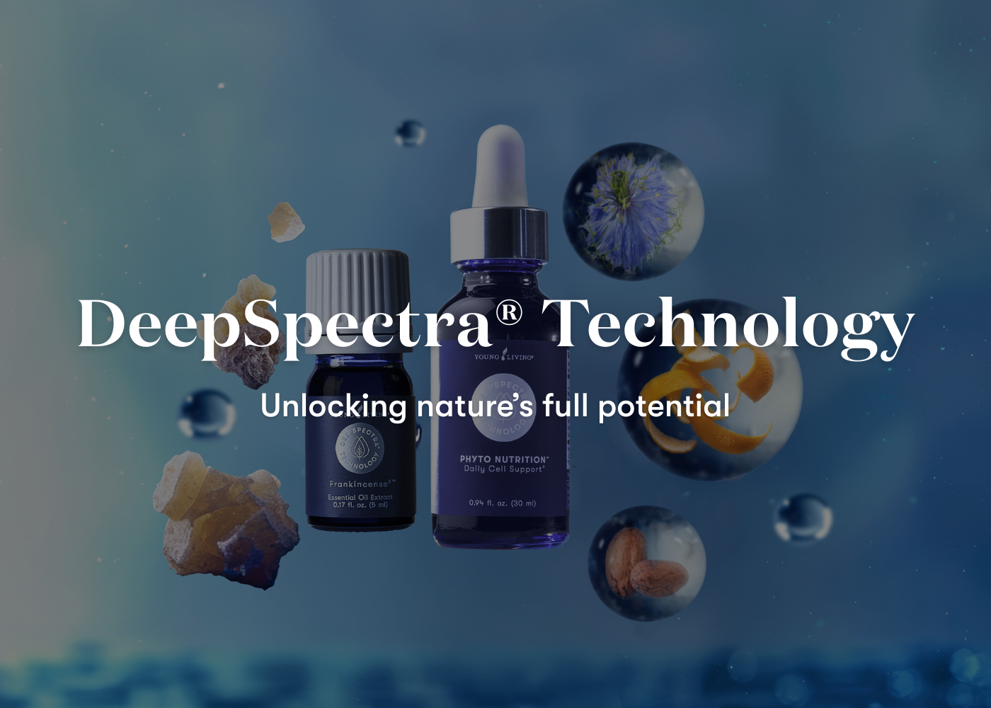 DeepSpectra Banner