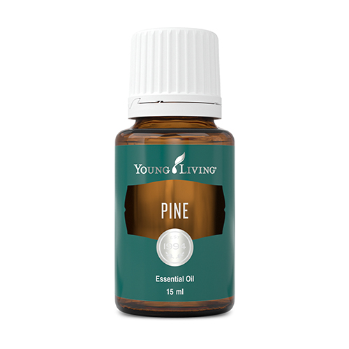 Pine Essential Oil 15 ml