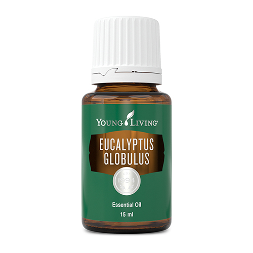 Eucalyptus Globulus Essential Oil 15 ml