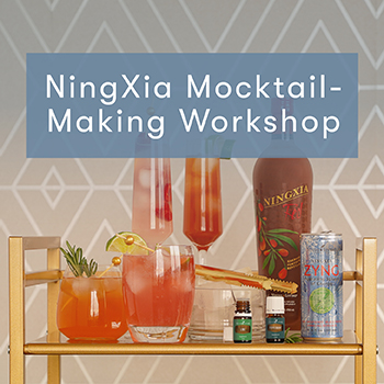 Ningxia Workshop