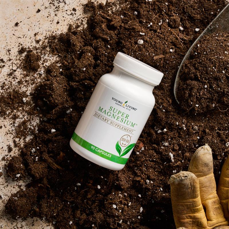Magnesium supplement, part of July 2025 Gift With Purchase from Young Living Essential Oils