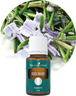 ヤングシーブス 15ml | ヤングリビング精油 | Young Living Essential Oils