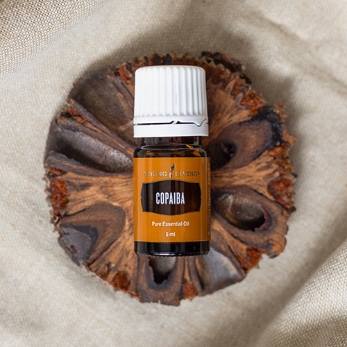 Copaiba Essential Oil 5 ml