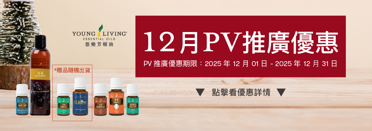 11月PV推廣優惠：2025/11/01–2025/11/30