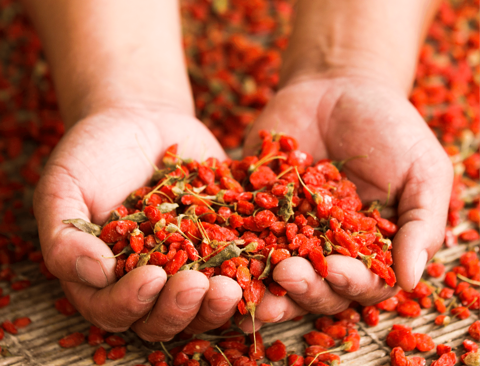 Manos llenas de Bayas de Goji