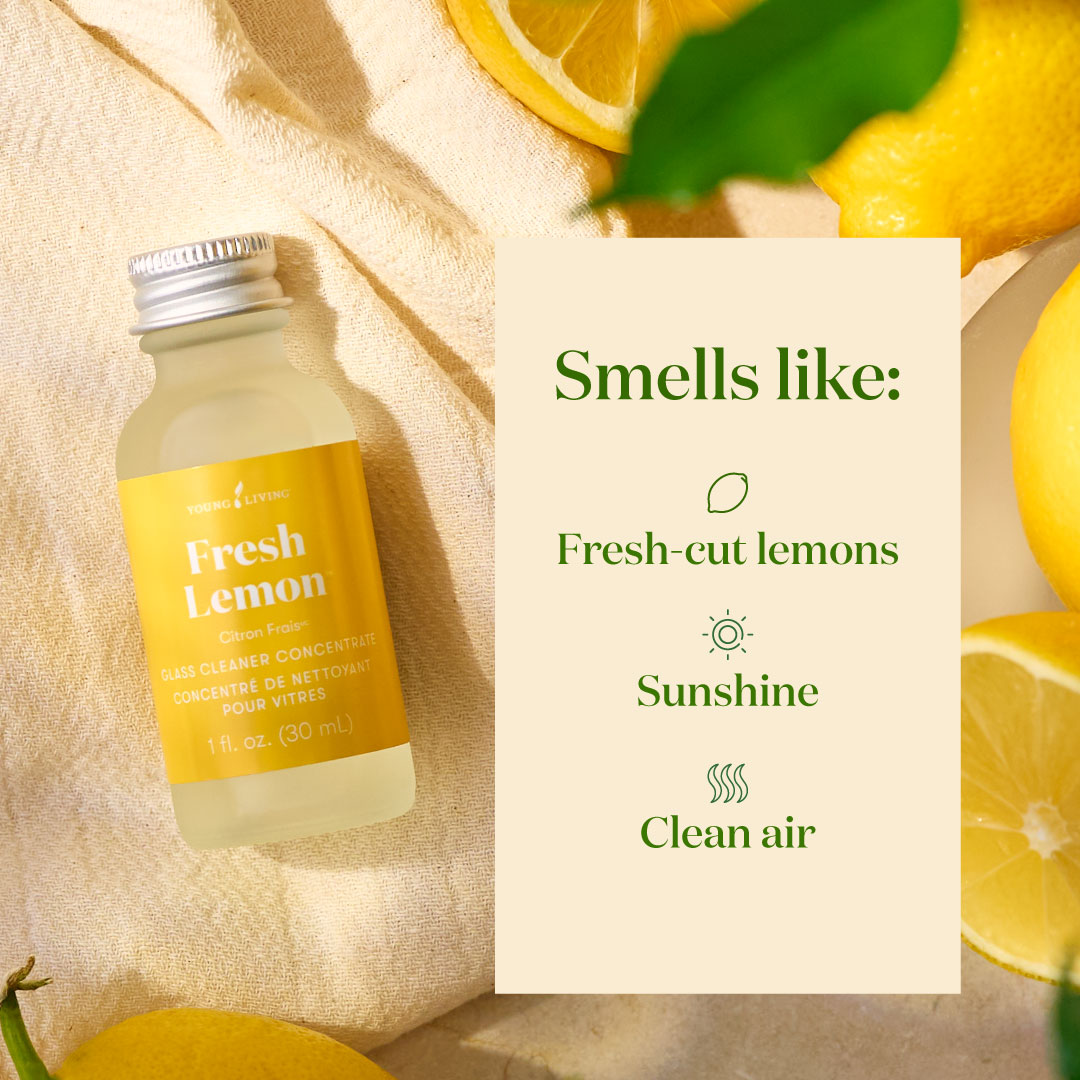 Fresh Lemon™ Glass Cleaner Concentrate | Young Living Essential Oils