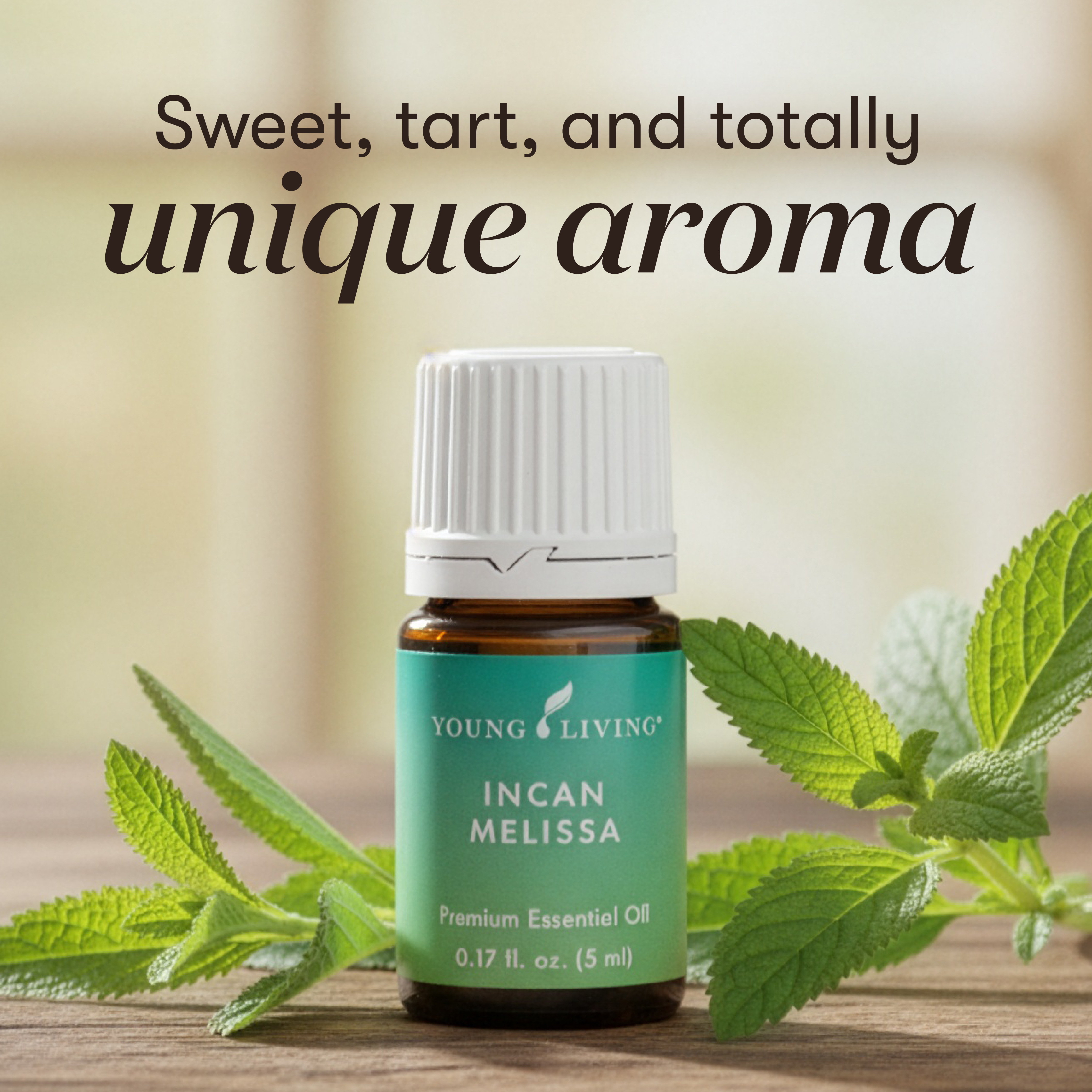 Incan Melissa essential oil | Young Living Essential Oils