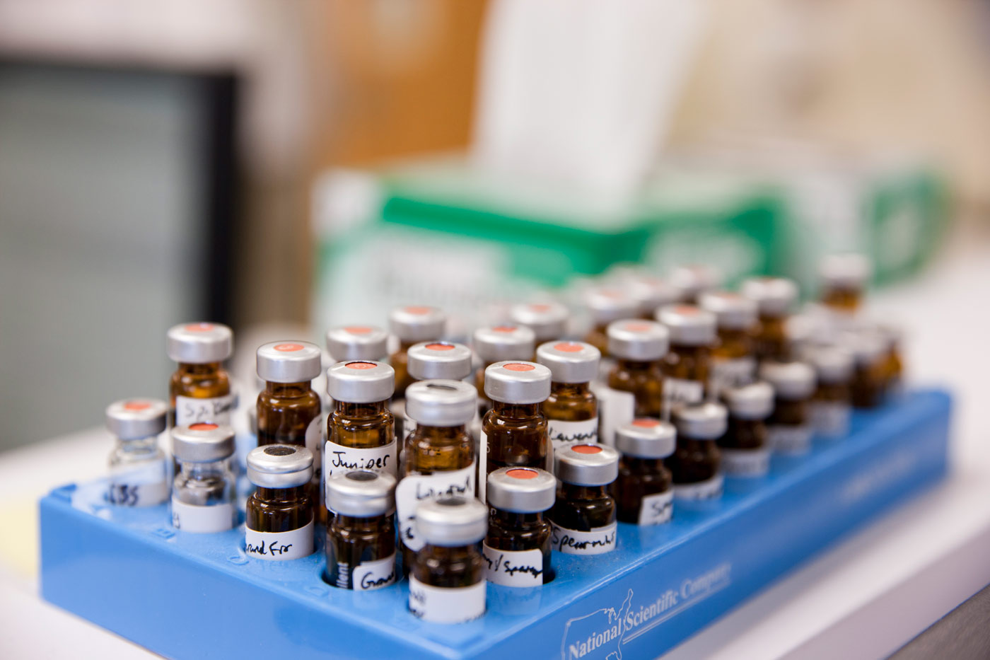 Oil bottles in a tray