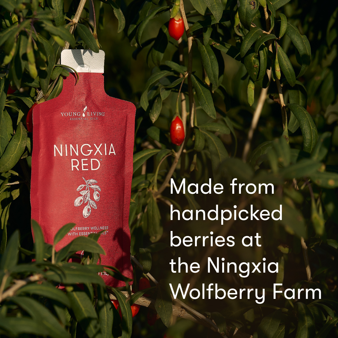 Ningxia Red® 2 Oz Singles | Young Living Essential Oils