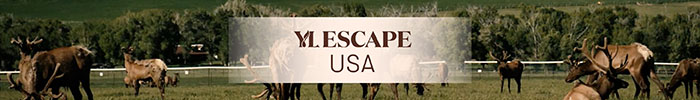 YL Escape USA 2024