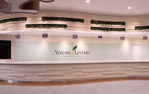 International Contact Information | Young Living Essential Oils