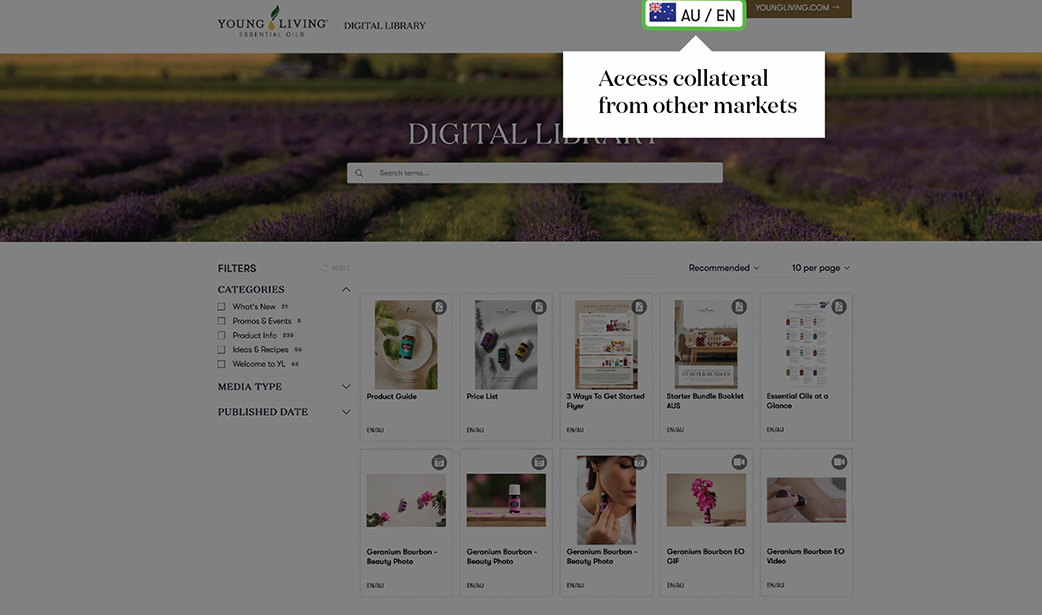 Digital Library Collateral from Other Markets Screenshot