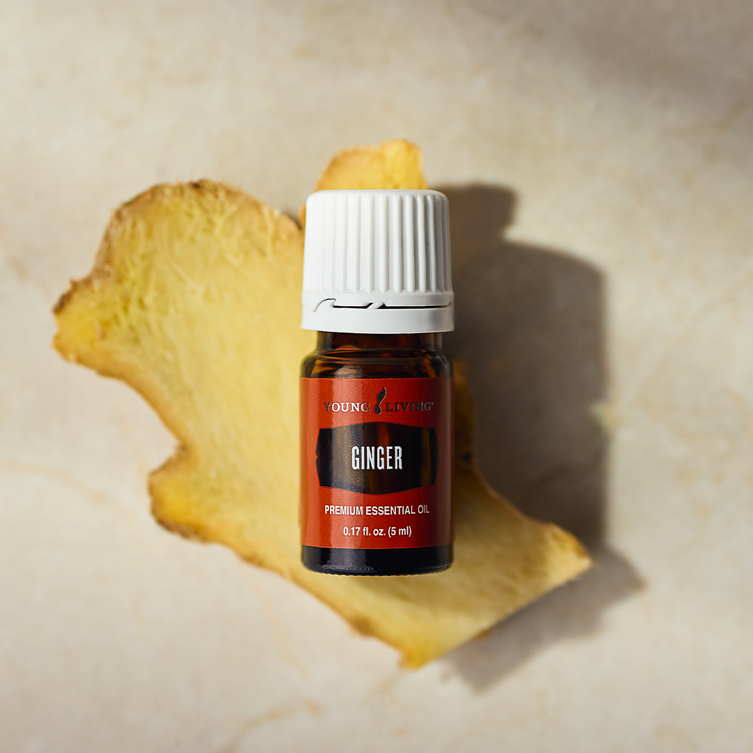 Loyalty order: Ginger essential oil, 5 ml, part of the September 2026 Gift With Purchase from Young Living Essential Oils