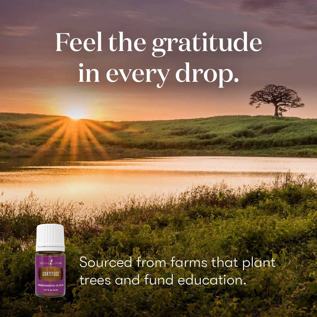 Gratitude™ Essential Oil Blend | Young Living Essential Oils