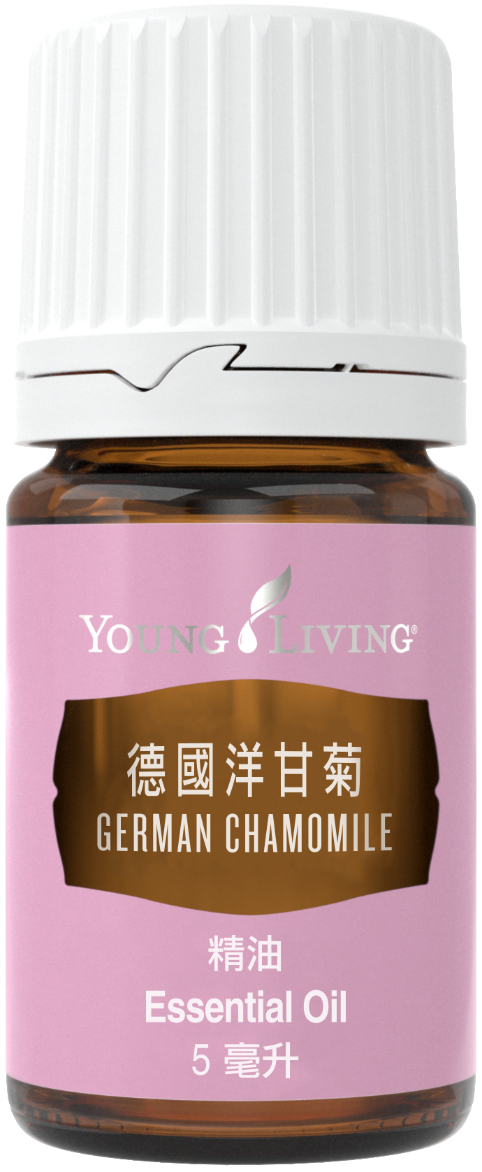 德國洋甘菊精油 / 5ml