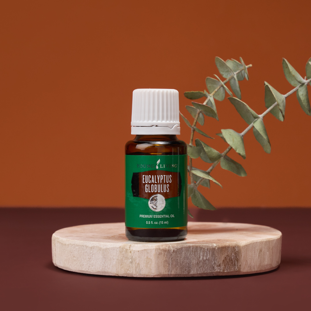 Eucalyptus Globulus essential oil, part of October 2025 Gift With Purchase from Young Living Essential Oils