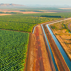 Young Living Farms - Australia