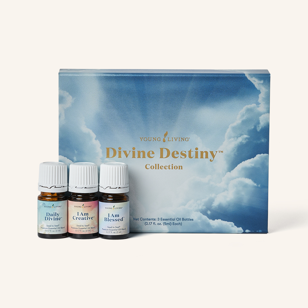 Divine Destiny Collection