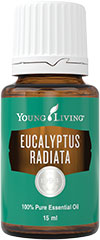 Eucalyptus Radiata Essential Oil - 15ml