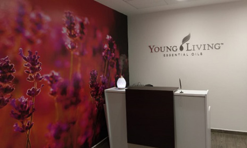 Young Living Mexique