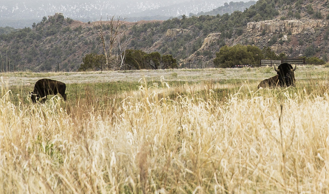 Skyrider Wilderness Ranch—Tabiona, Utah, USA