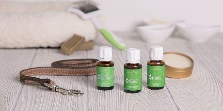 Animal Scents