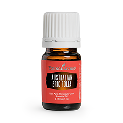 effb71e2-3845-75b2-2652-