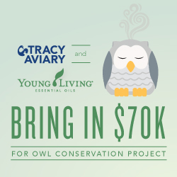 Tracy Aviary and Young Living bring in $70k for Owl Conservation Project
