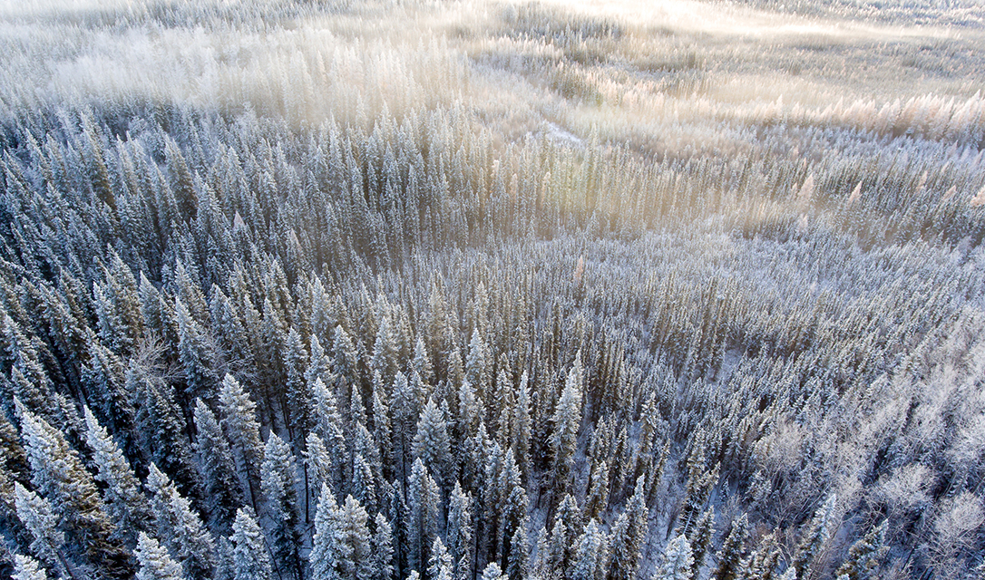 Northern Lights Farm—Fort Nelson, BC, Canada