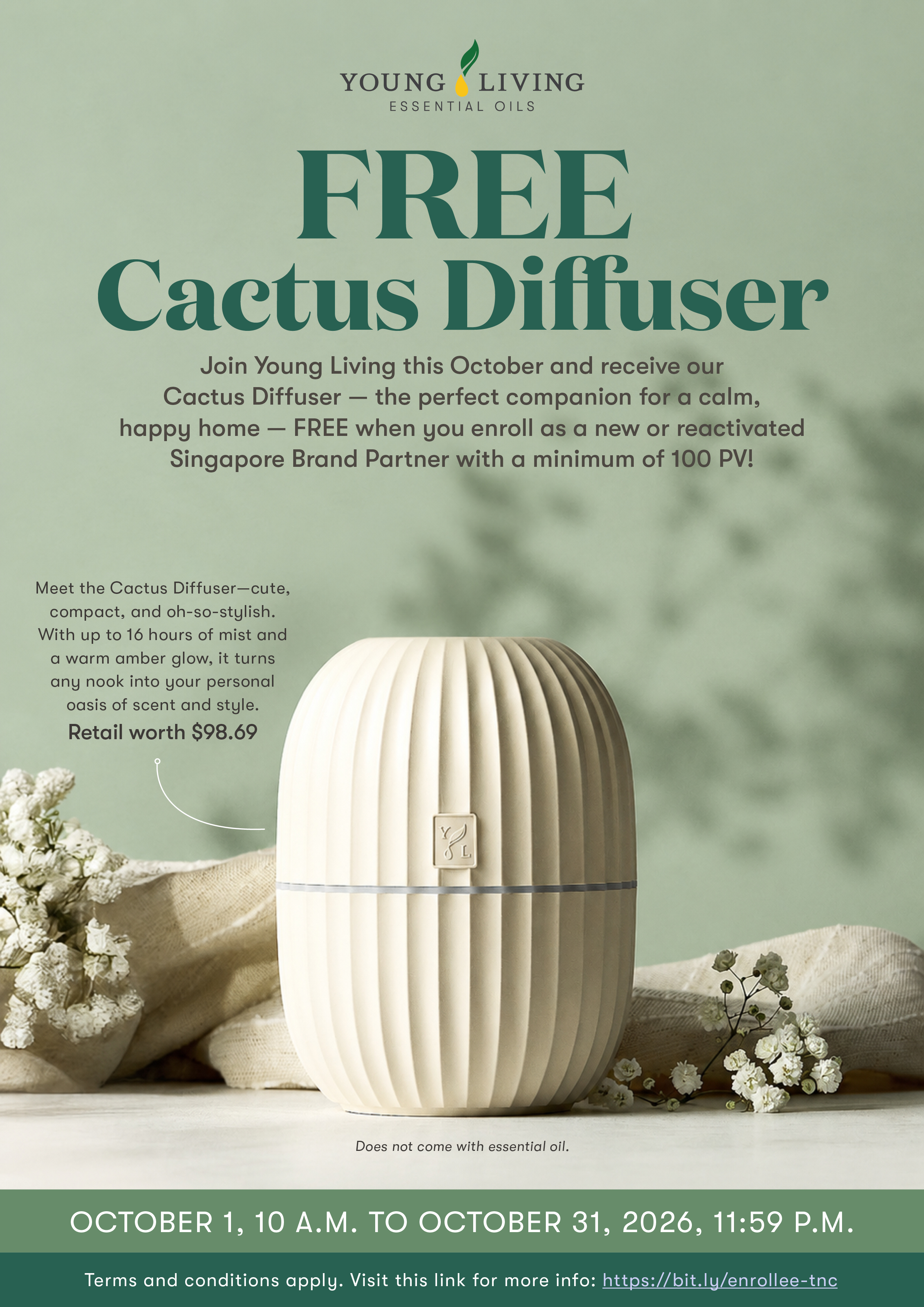 Cactus Diffuser