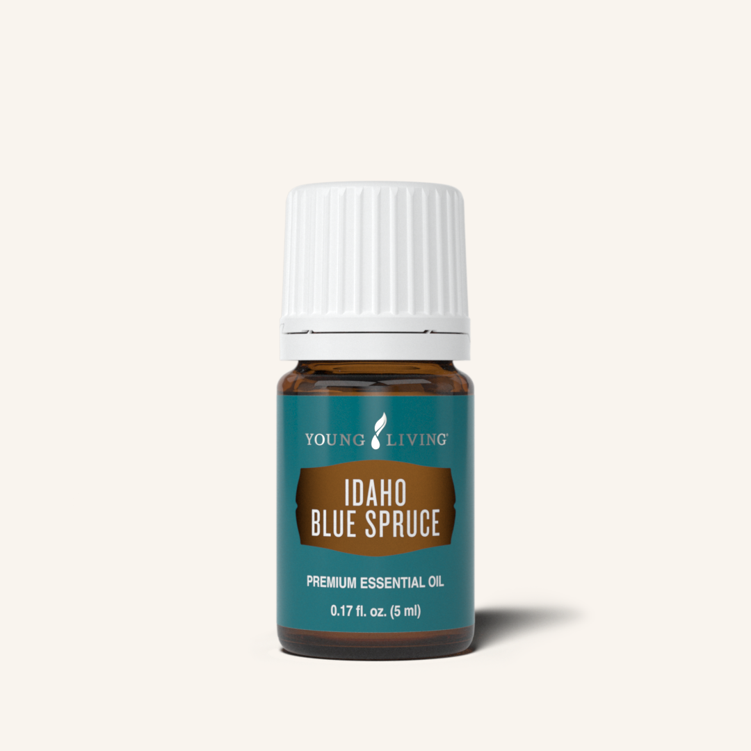 Northern Lights Black Spruce Essential Oil | Young Living