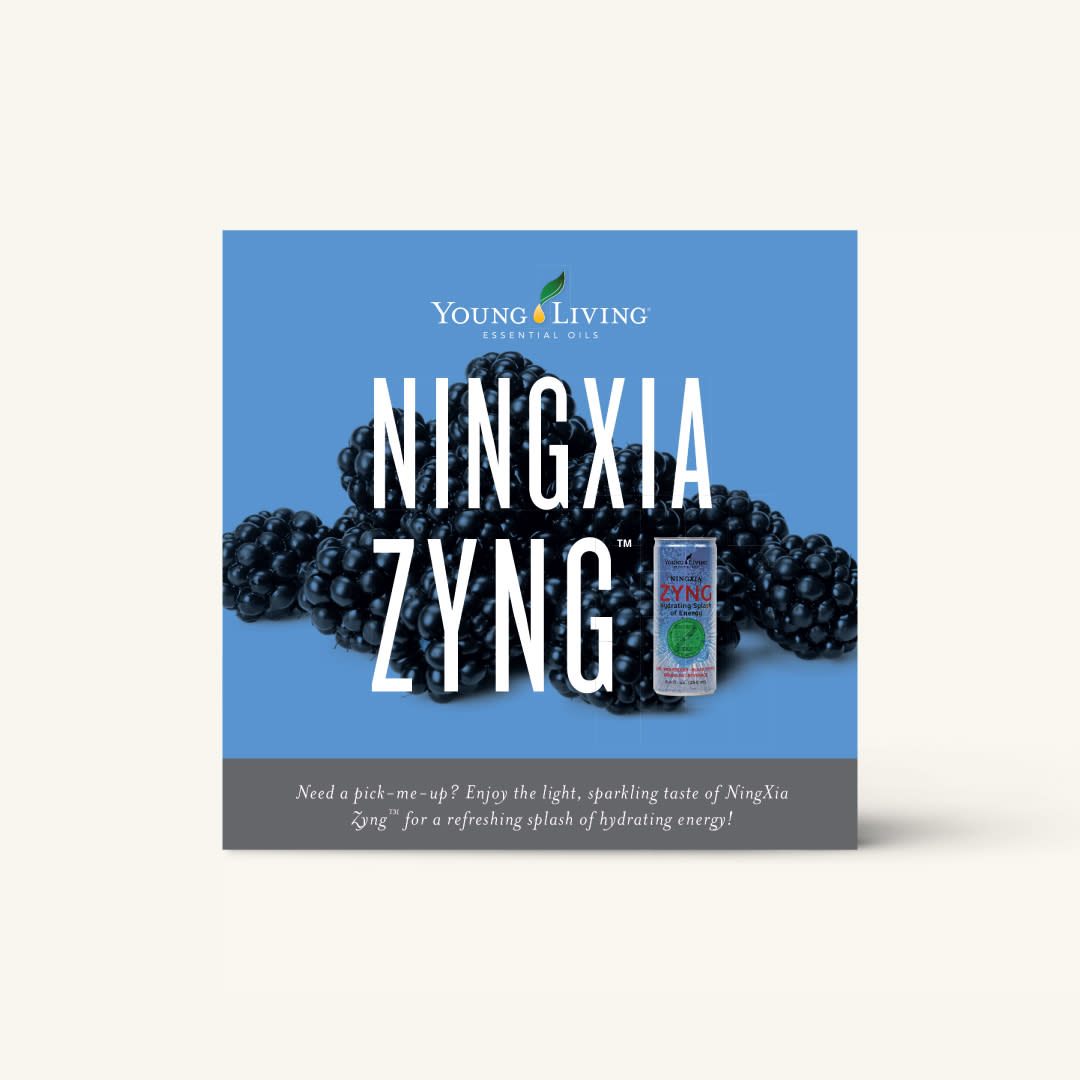 NingXia Zyng Brochure