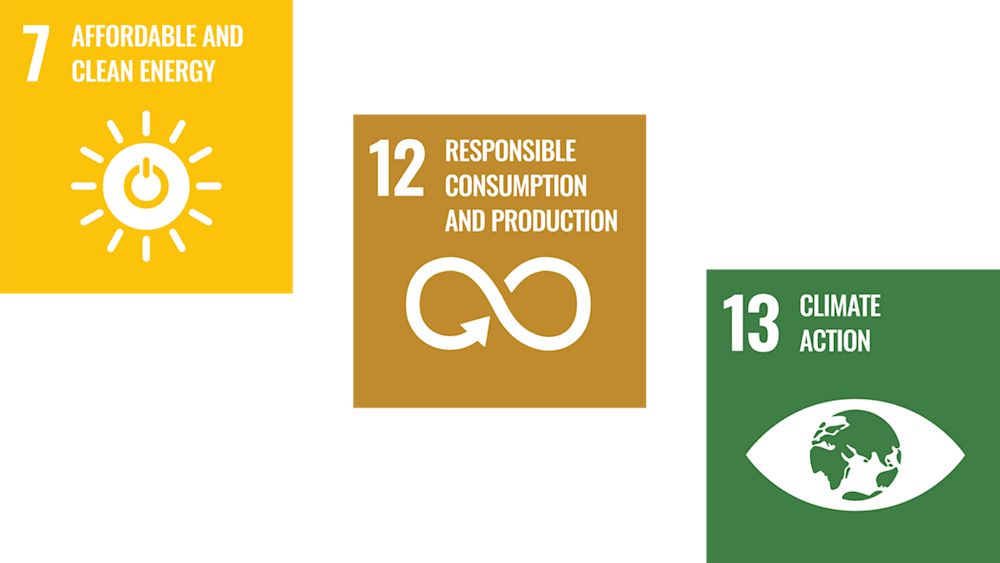 Sustainable Development Goals