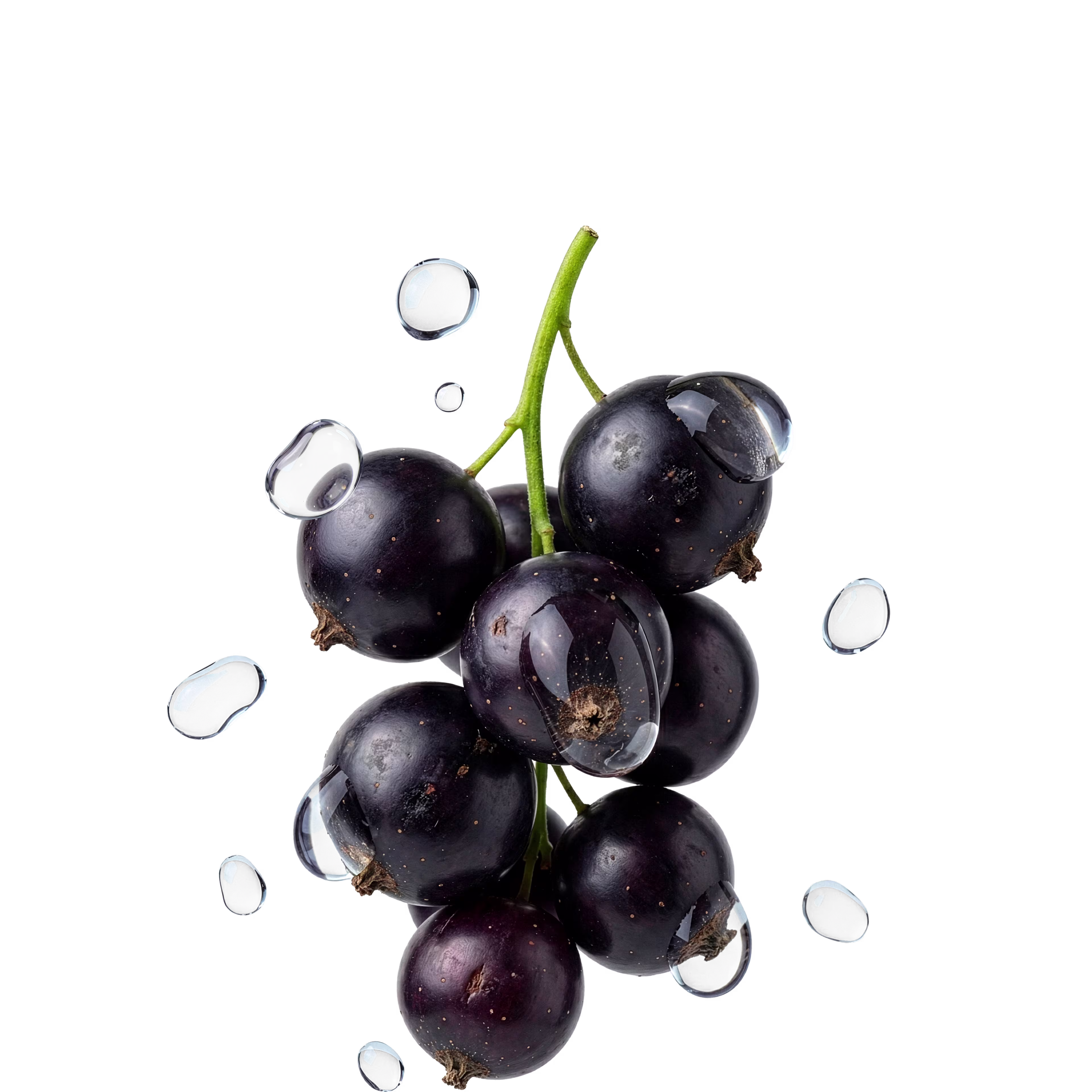 Blackcurrant